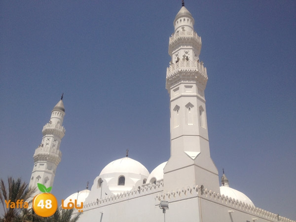 3omranludnnw (46).JPG